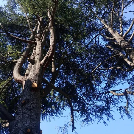 Apartment Casa Sabrina