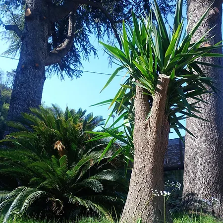 Casa Sabrina Apartamento