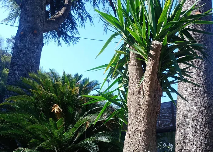 Casa Sabrina Apartamento